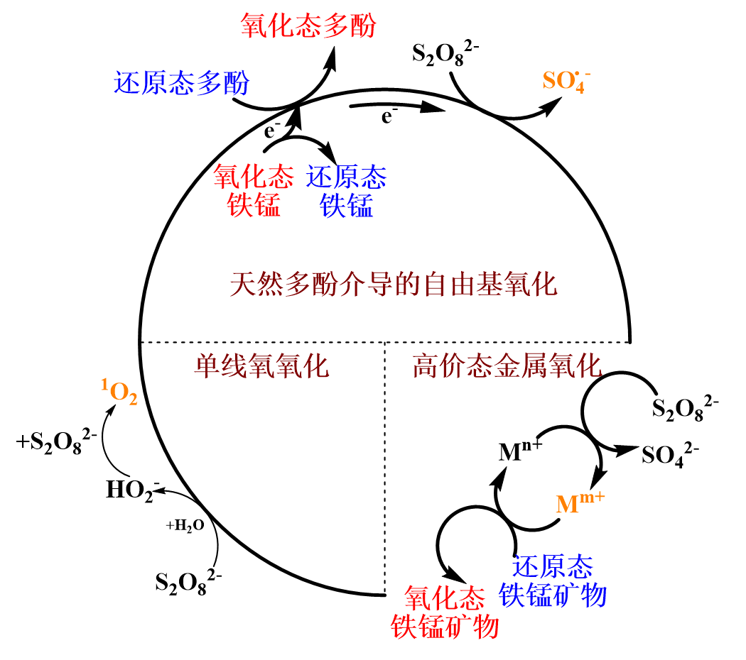 正规det365登录网站